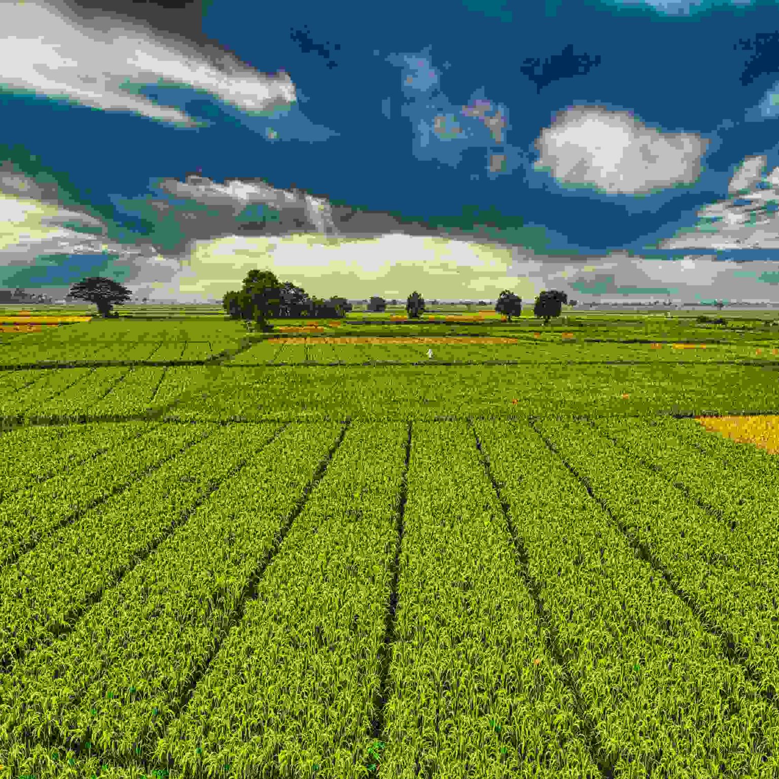 pexels-photo-6216870