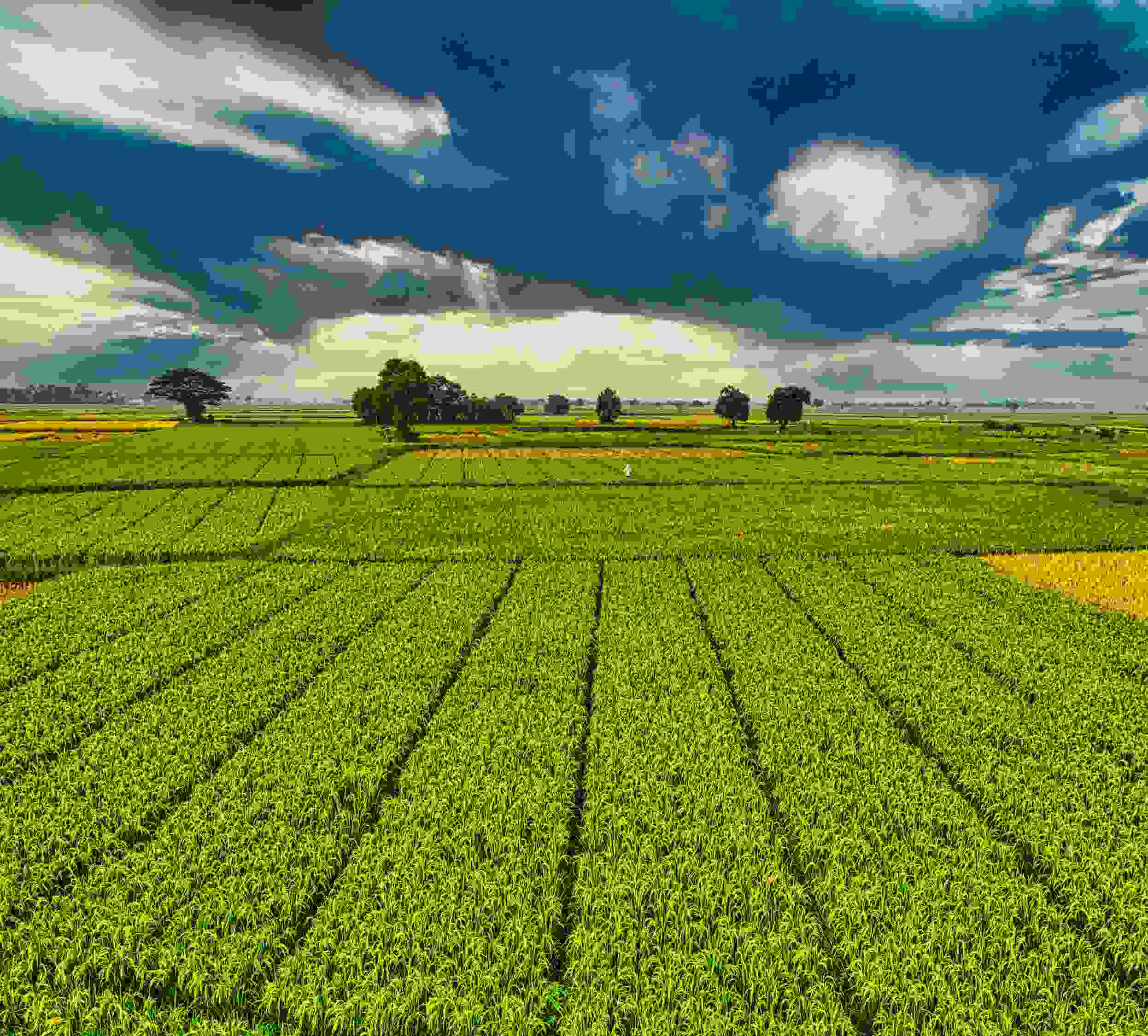 pexels-photo-6216870